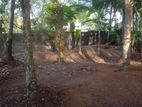 Residential Land in Mangala Mawatha, Kadawatha