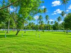 Residential Land in Mellawagedara P8