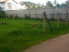 Residential Land in Negombo