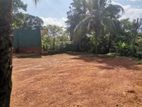 Residential Land In Palawaththa