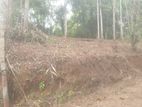 Residential Land for Sale Near to Peradeniya University