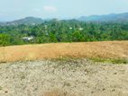 Residential Land Plots For Sale in Avissawella