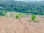 Residential Land Plots for Sale in Avissawella