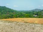 Residential Land Plots for Sale in Avissawella