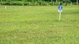 Residential Land Plots For Sale in Beliatta