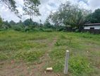 Residential Land Plots for Sale in Dambara