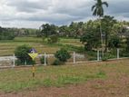 Residential Land Plots for Sale in Homagama