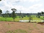 Residential Land Plots for Sale in Homagama