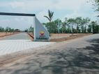 Residential Land Plots for Sale in Horana