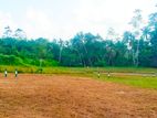 Residential Land Plots For Sale In Kaduwela Nawagamuva