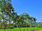 Residential Land Plots for Sale in Meeriyagalla