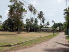 Residential Land Plots for Sale in Panadura Dibbedda