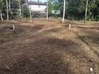 Residential Land Plots for Sale in Panadura