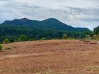 Residential Land Plots for Sale Near Avissawella Town