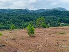 Residential Land Plots For Sale near Avissawella town