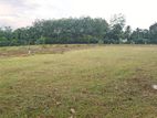 Residential Land Plots for Sale near Eheliyagoda town
