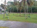 Residential Land Plots in Kaburugamuwa
