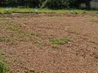 Residential Land Plots Sale In Homagama