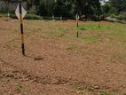 Residential Land Plots Sale In Homagama