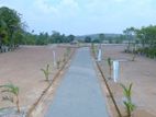 Residential Land Plots Sale In Horana