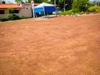 Residential Land Plots Sale in Near to Galle Road Wadduwa