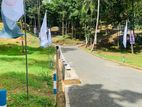 Residential Land Sale in Digana Malpana