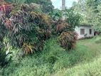 Residential Land with House for Sale Pannipitiya