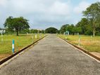 Residential Lands For Sale In Anuradhapura sacred city.