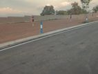 Residential Lands for Sale in Arangala City Limit