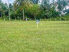 Residential Lands For Sale In Beliatta
