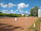 Residential Lands for Sale in Pannipitiya P32