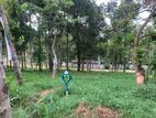 Residential Lands for Sale in Sinharagama