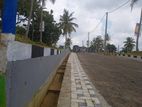 Residential Lands in Arrawwala P29