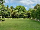 Residential Lands Plots For Sale in Thalawathugoda