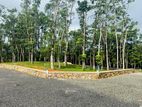 Residential plots for sale in Horana Ballapitiya