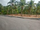 Residential plots for sale near 210 bus road, Delgoda, Kadawatha