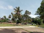 Residential plots in Panadura Dibbedda Road –