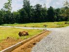 Residential Plots Near Eheliyagoda Town