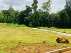 Residential plots near Eheliyagoda town