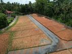 Residential Plots Sale In Pitipana
