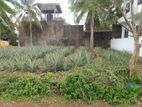 Land for Sale Kandana