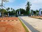 Residents Land For Sale Wadduwa M20