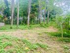 Respectful Residential Area Land in Panadura