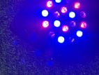 DJ Light