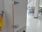Rice Steamer -48KG(Gas)