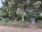 Rideepana, Badulla - Land for Sale