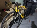 Ridley Racing Bicycle