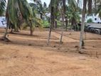 රිලාවල මත්තෙගොඩ පාරට සමීපව අගනා නේවාසික බිම් කොටස් විකිණීමට