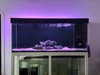 Rimless Fish Tank Full Set
