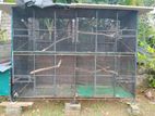 Birds Cage